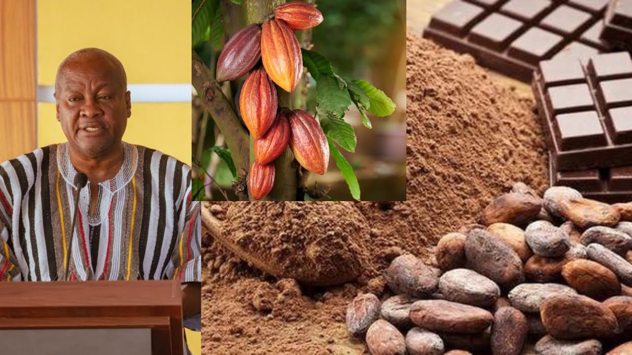Ghana to foreign financing for cocoa purchase- President Mahama❤️