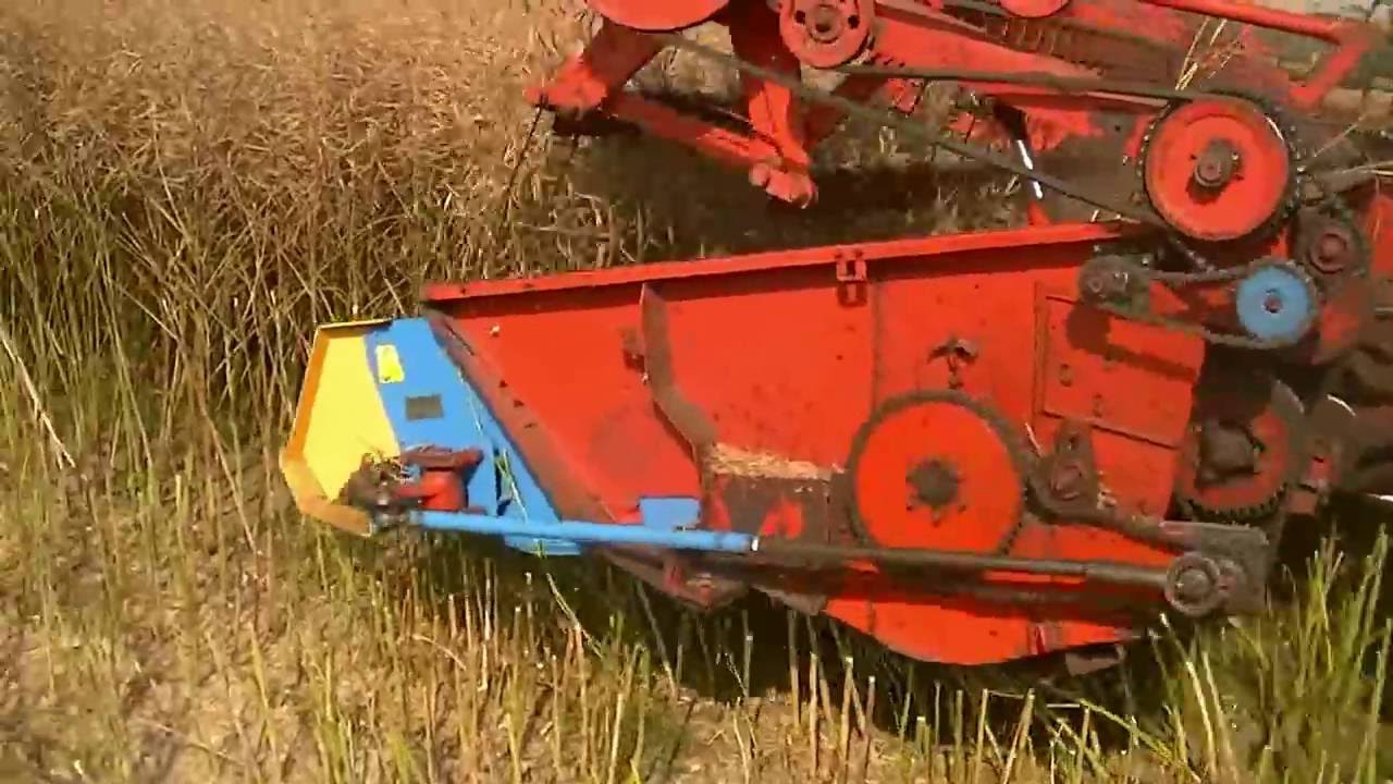 Żniwa rzepak 2014 BIZON Z056