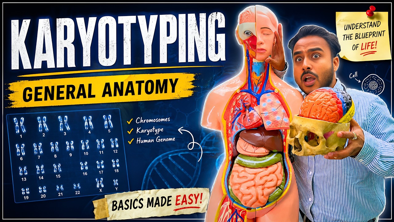 Karyotyping General Anatomy for MBBS 1st Year | Steps, Types, Disorders Explained | Johari MBBS