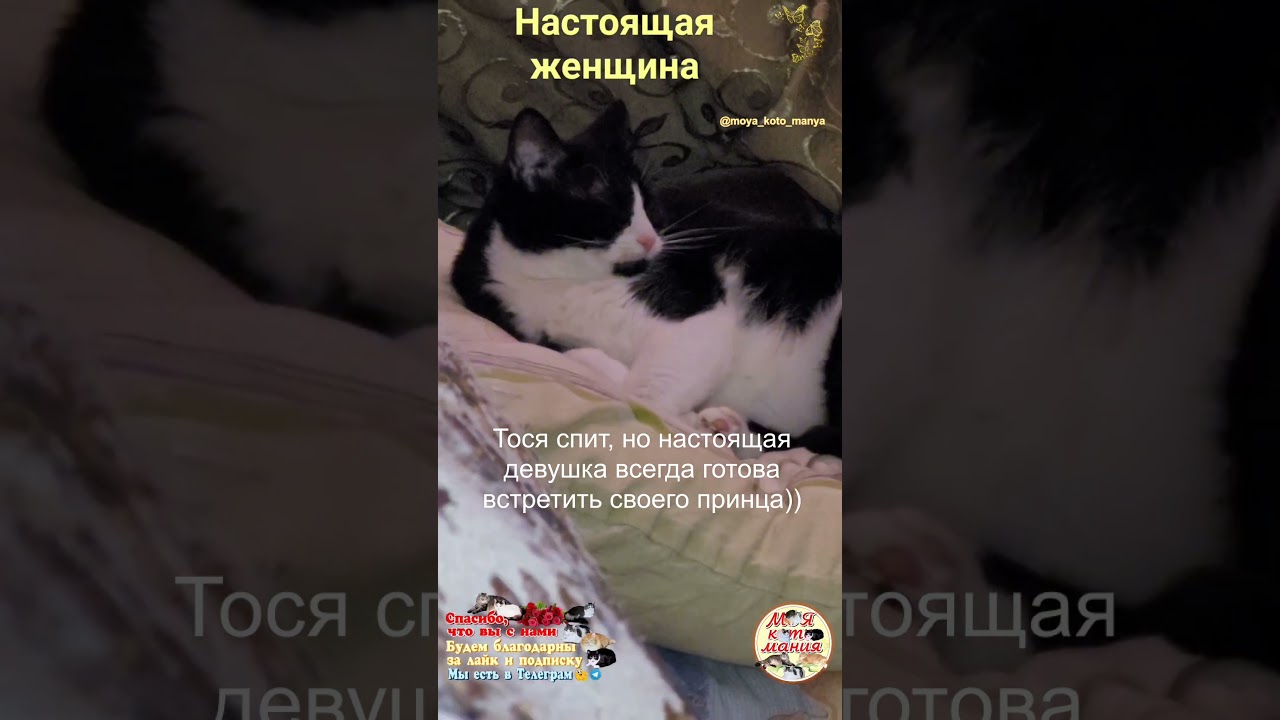 Настоящая женщина. A real woman.