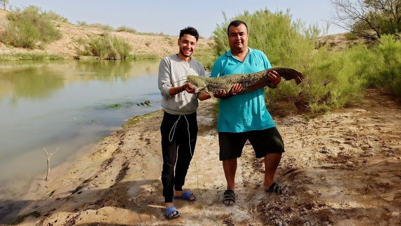 Turkmenabat.Рыбалка 72 км