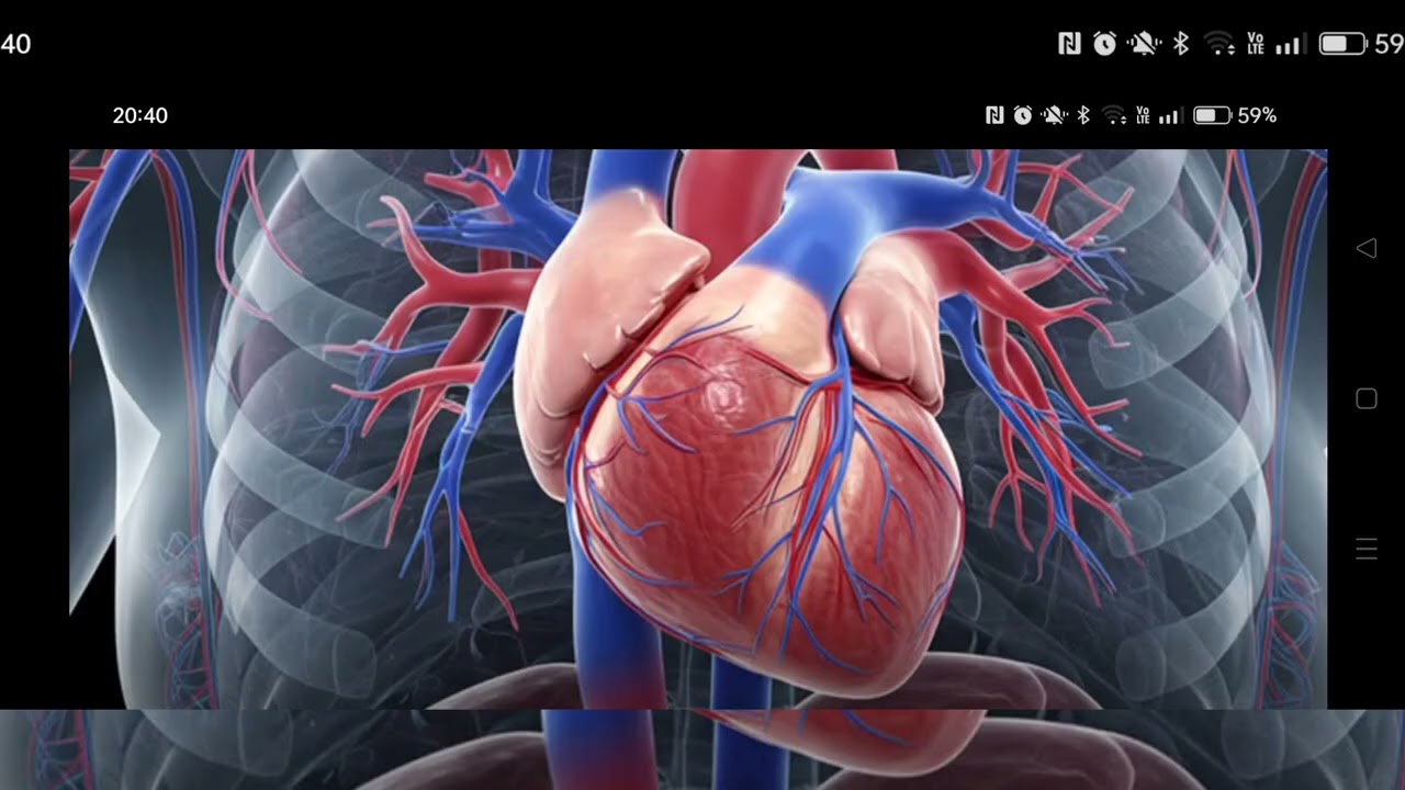 HeartBeat Recording of 35 Year Old Male While Sick.