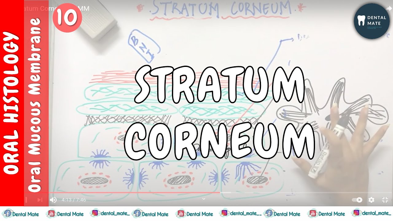 Stratum Corneum | OMM | Dr Paridhi Agrawal