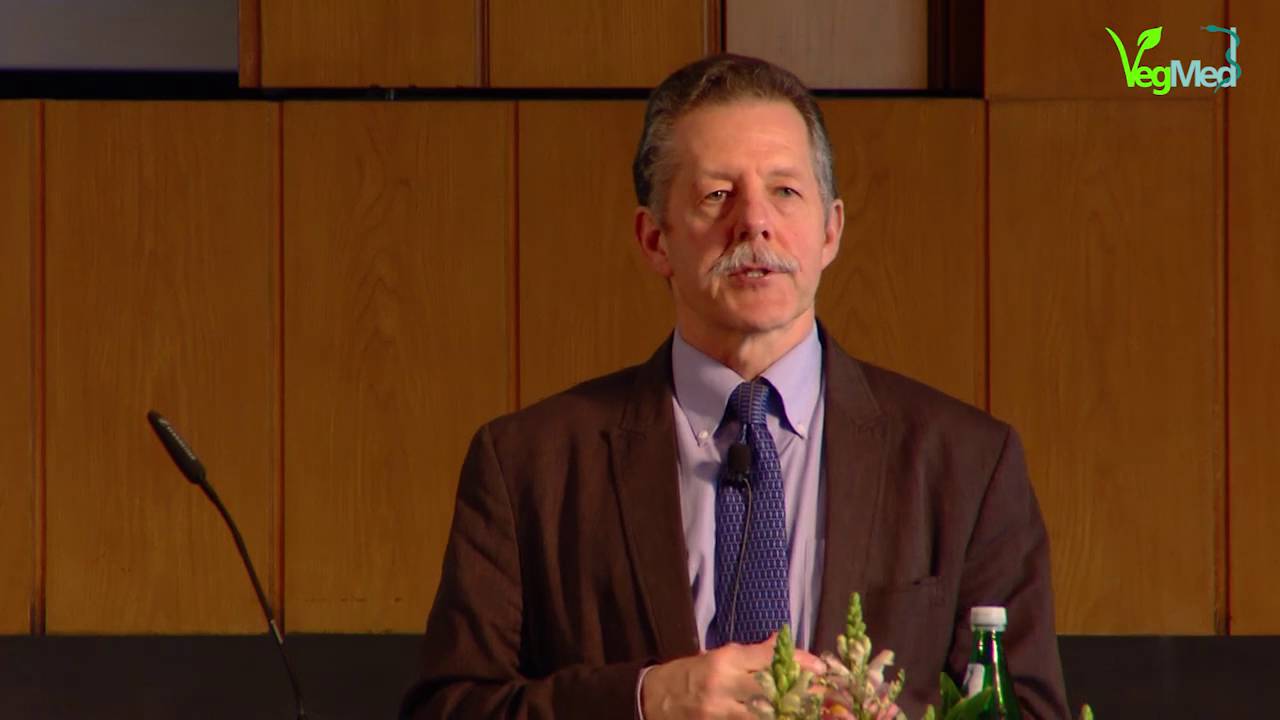 Soy Misconceptions: Setting the Record Straight - Prof. Dr. Mark Messina