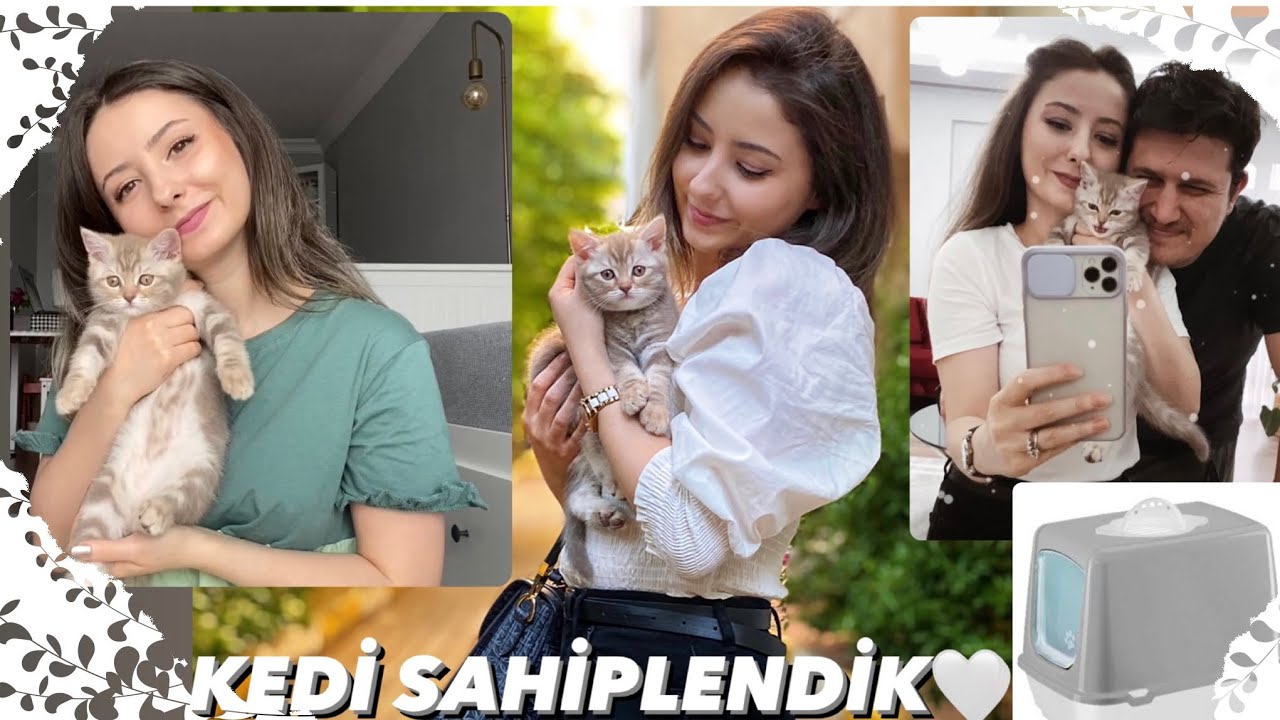 KEDİ SAHİPLENDİK! EVİMİZİN YENİ ÜYESİ, KEDİMİZİN İLK İHTİYAÇLARI, NELER ALDIK? İLK VETERİNER KONTROL