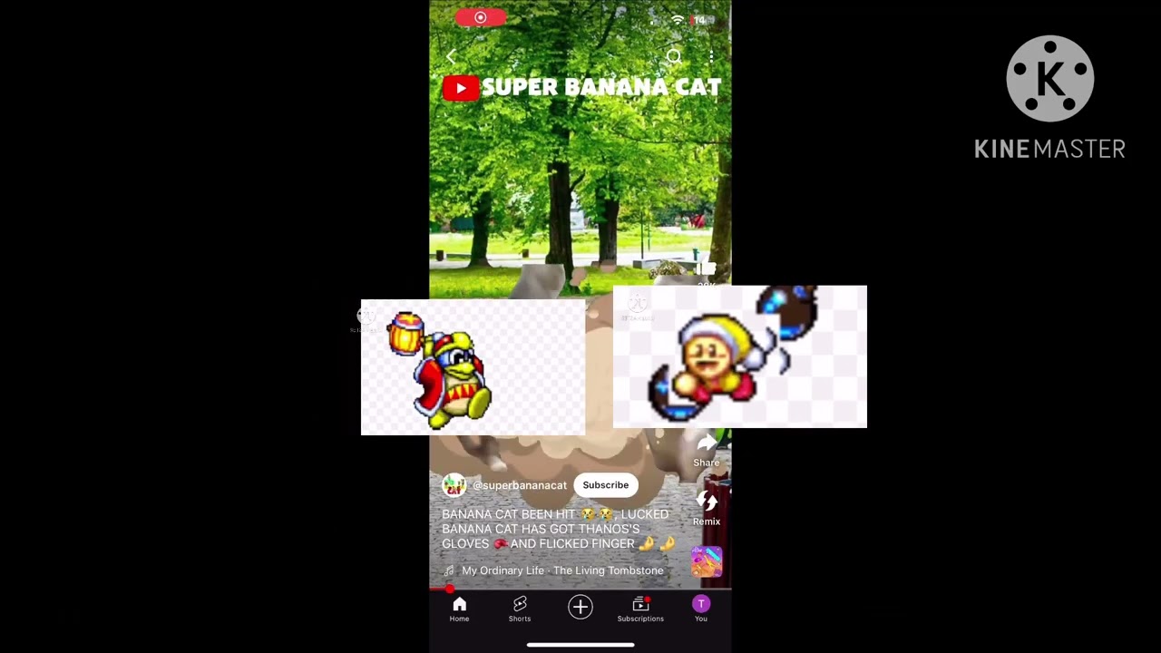 King Dedede And Poppy Bros Jr Hit By Banana Cat Quit The Build
