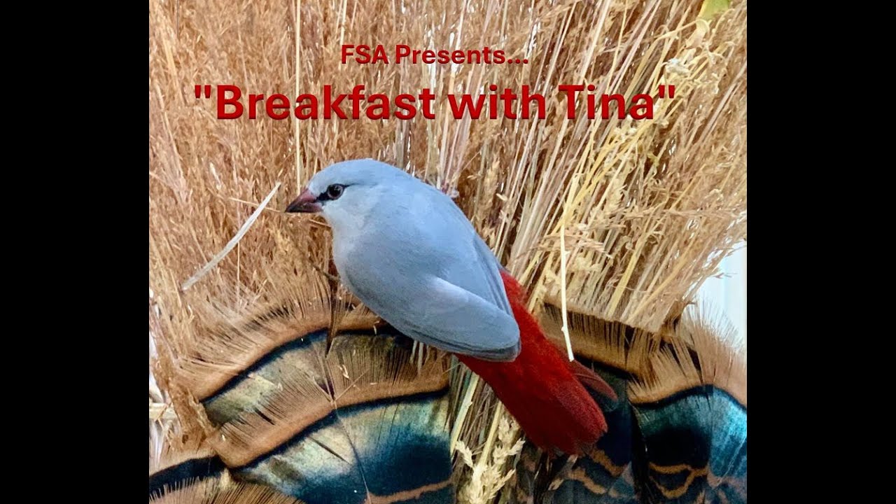Breakfast with Tina