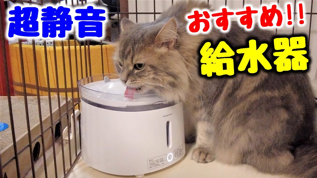 【プラスアクア】猫・犬のおすすめ自動給水器はコレ！超静音＆お手入れが簡単♪