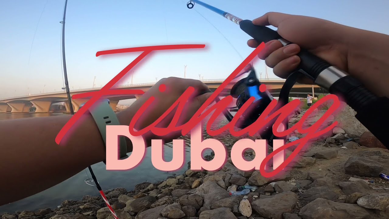 Dubai Fishing in Al Garhoud | Free Fishing Milkfish Bangus in Dubai