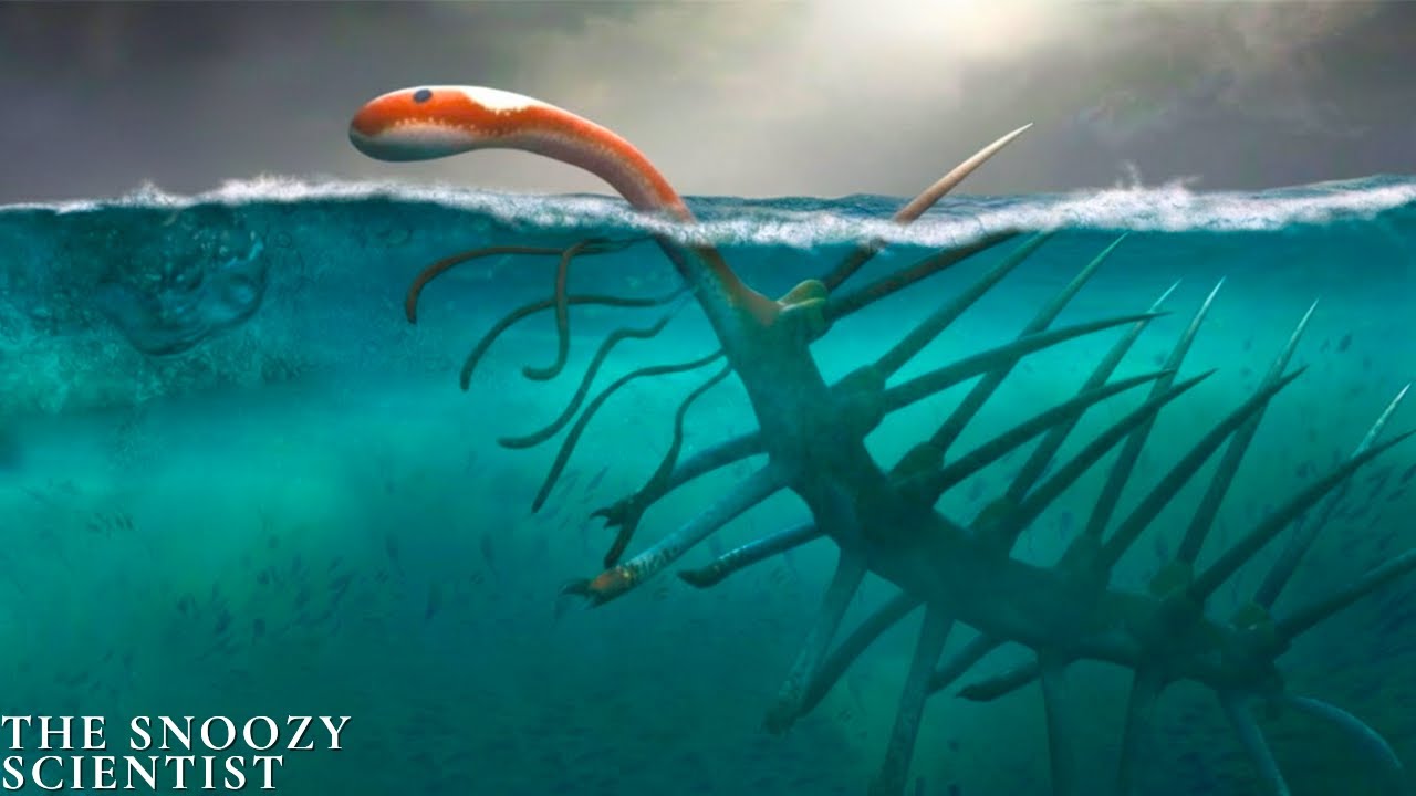 The Bizarre Creatures That Ruled Earth’s First Oceans