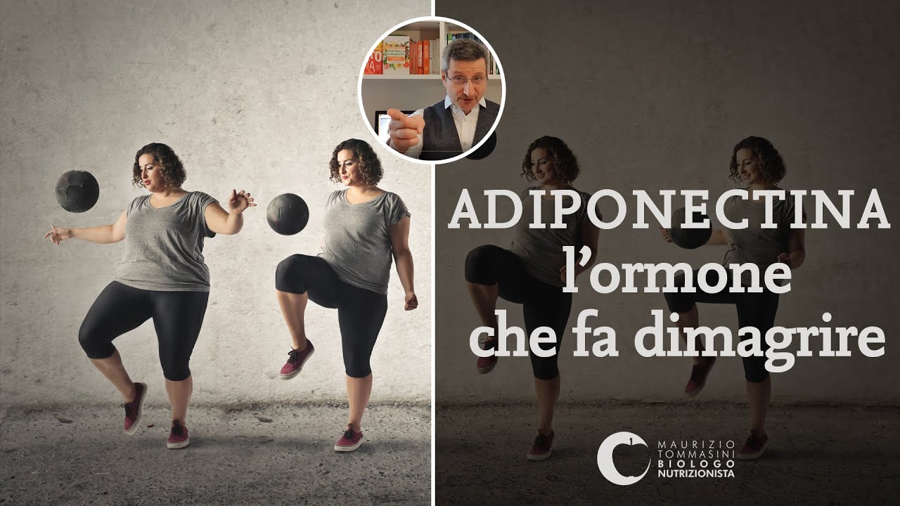Adiponectina, l'ormone che fa dimagrire