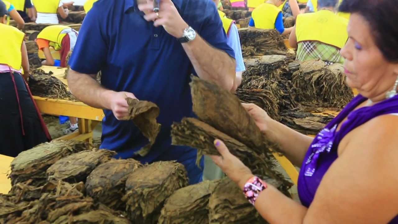 Padron Cigars TOUR HD