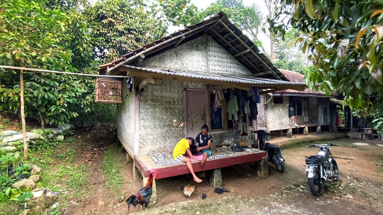 Menikmati Hidup Didesa, Suasana Damai Di Kampung Indah, Ayem Dan Tentram Suasana Pedesaan Jawa Barat