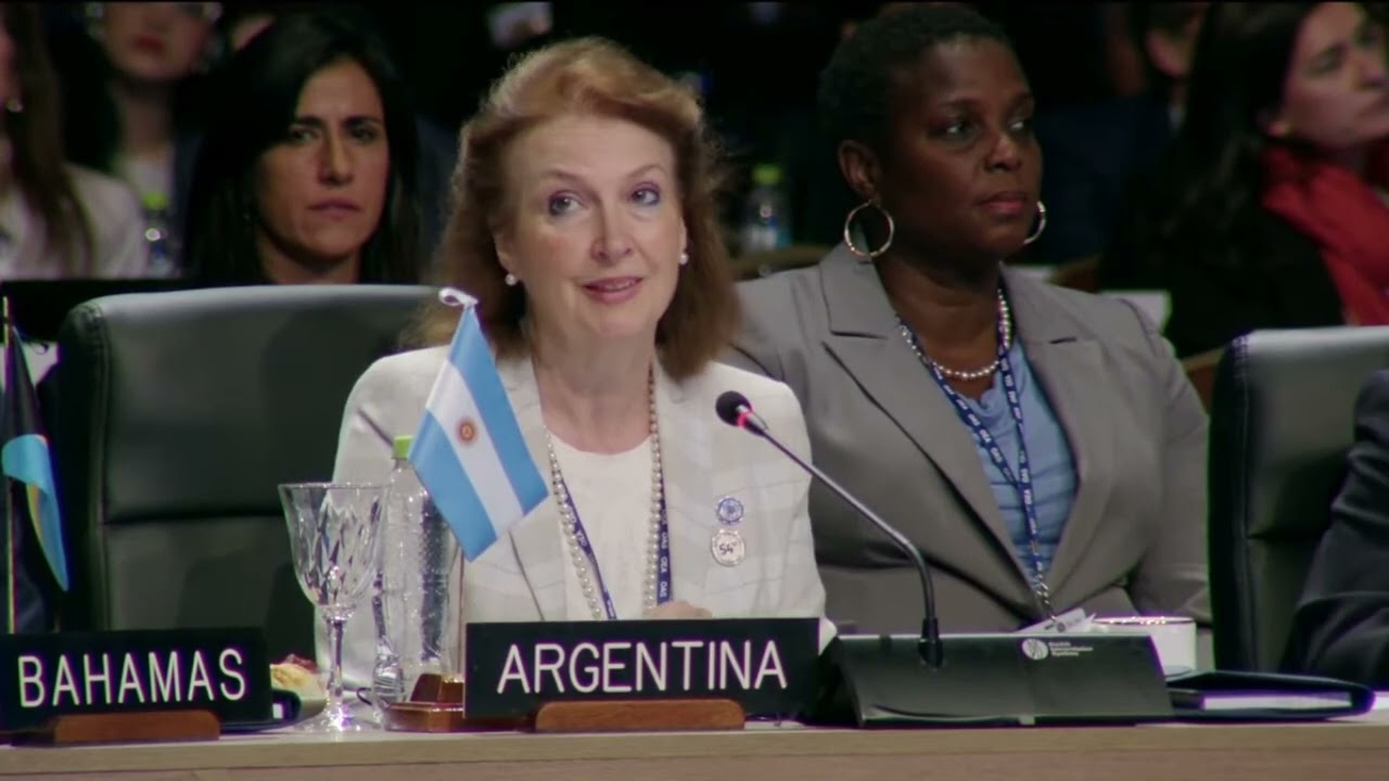 Presentación argentina en la primera sesión plenaria de la 54 Asamblea General de la OEA.