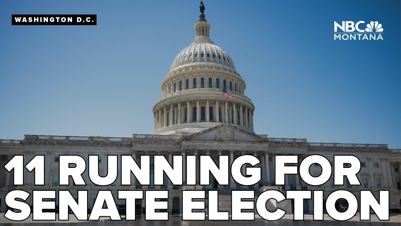 Senator drops out, 11 more running in 2026 election