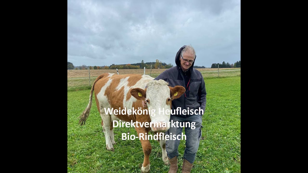 Weidekönig Heufleisch Direktvermarktung Bio-Rindfleisch vom Allgäuer Weiderind.