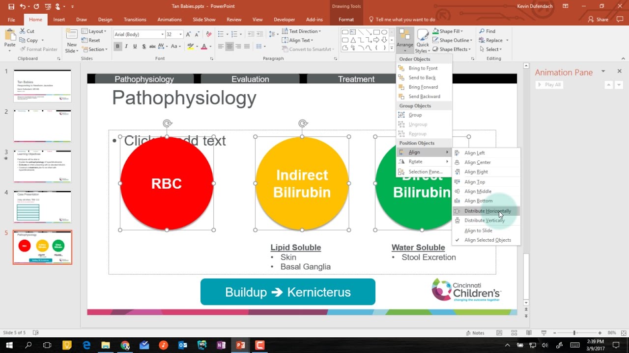 Advanced PowerPoint Skills Demo