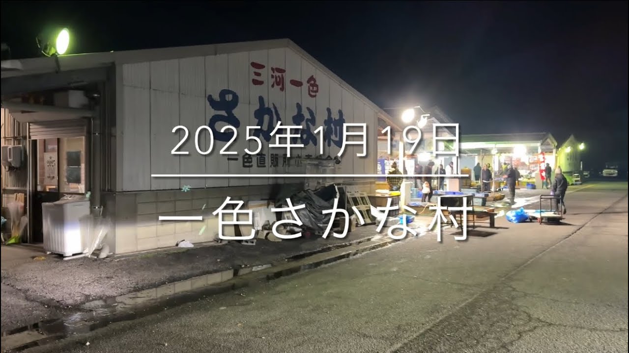 【見逃し厳禁】日本最高峰の市場『一色さかな村』魚市場の概念が覆る