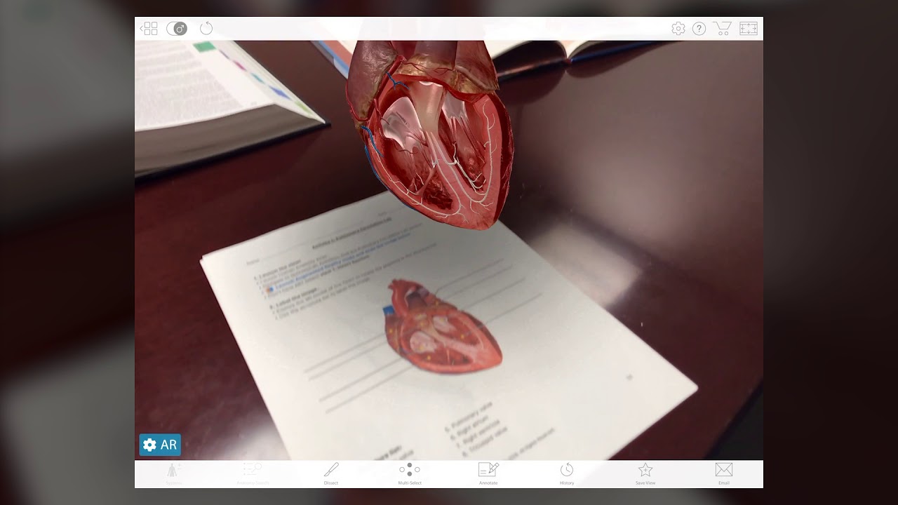 Using Augmented Reality Lab Activities | Human Anatomy Atlas