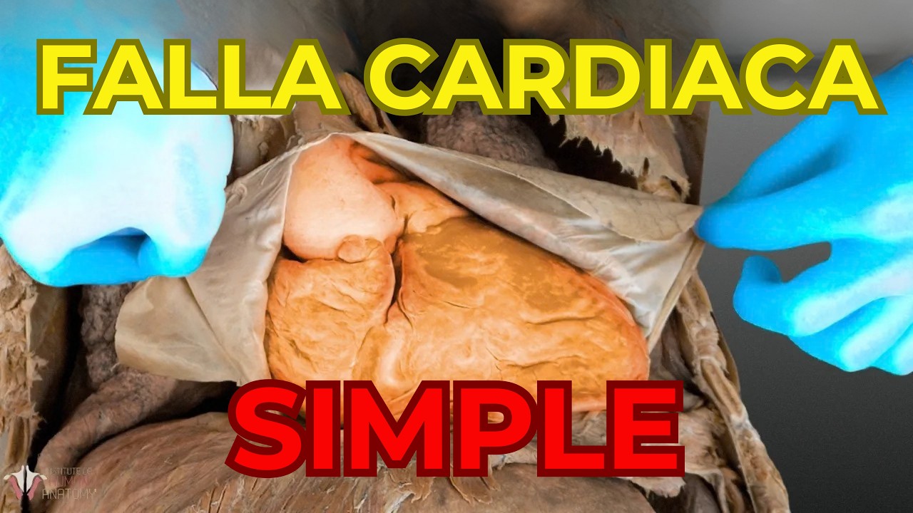 Cómo empieza a FALLAR el corazón: lentamente