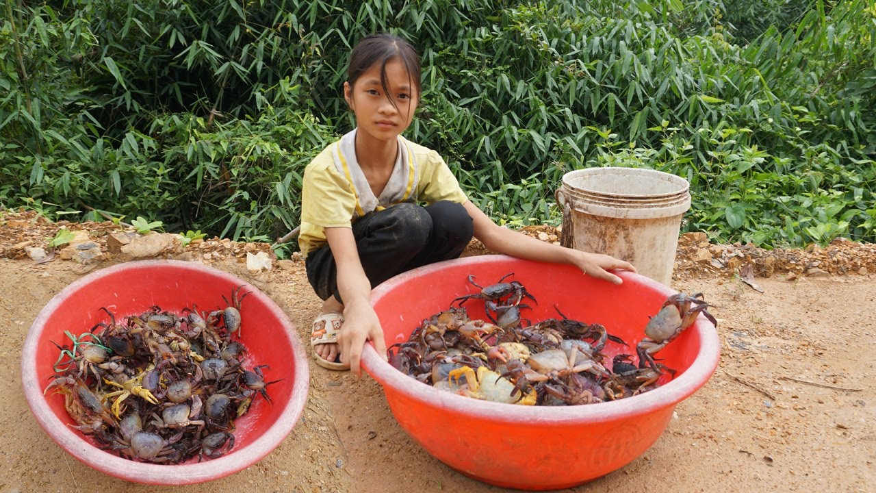 Orphan Life Harvesting crabs and fish and bring them to the village market to sell - Homeless life