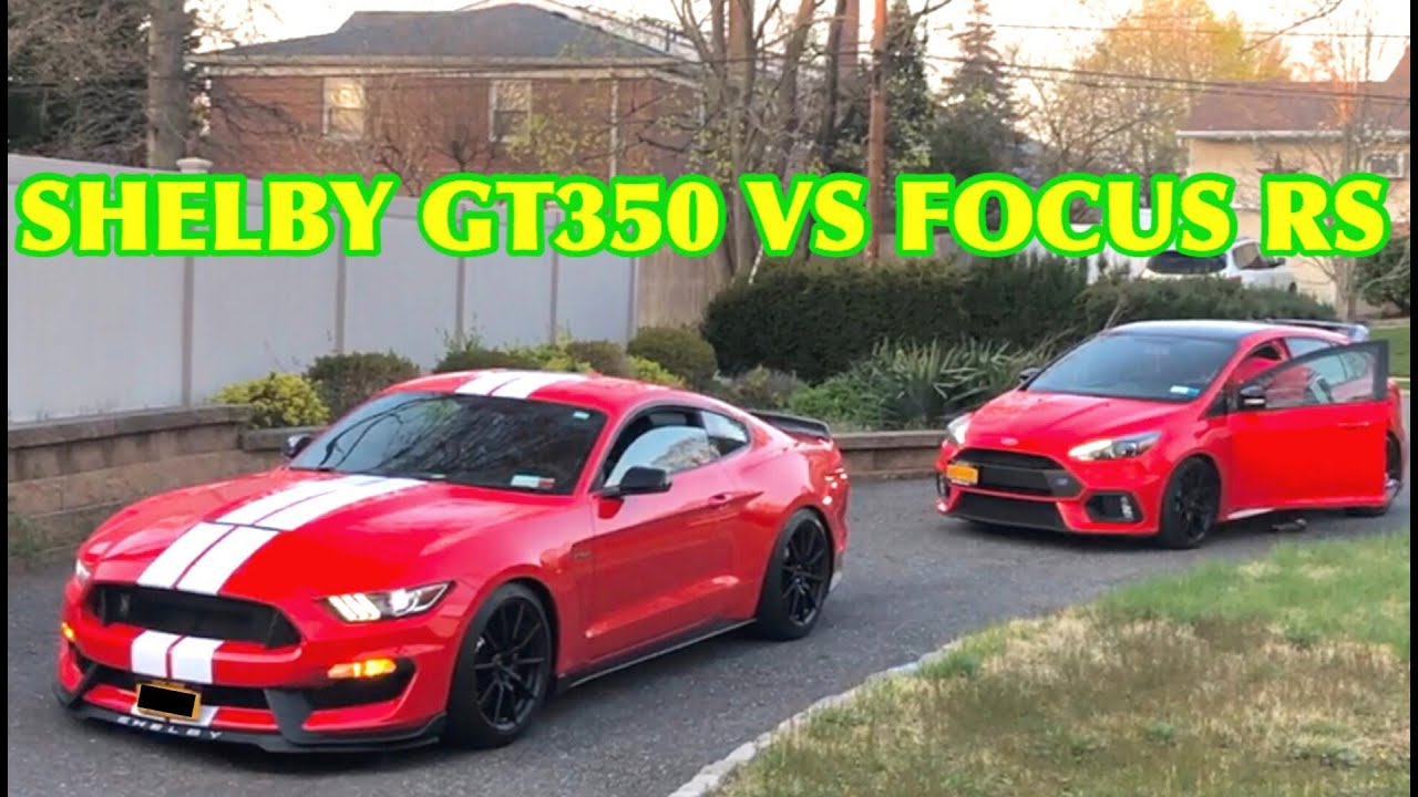 SHELBY GT350 VS FORD FOCUS RS