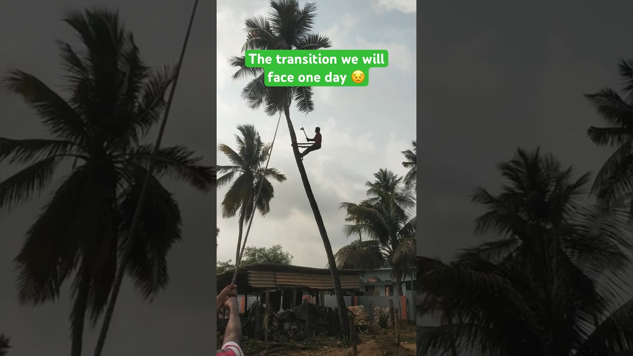 Save trees , Save our life 🙏🏻 #tree #environment #sad #emotional #trendingshorts #youtubeshorts