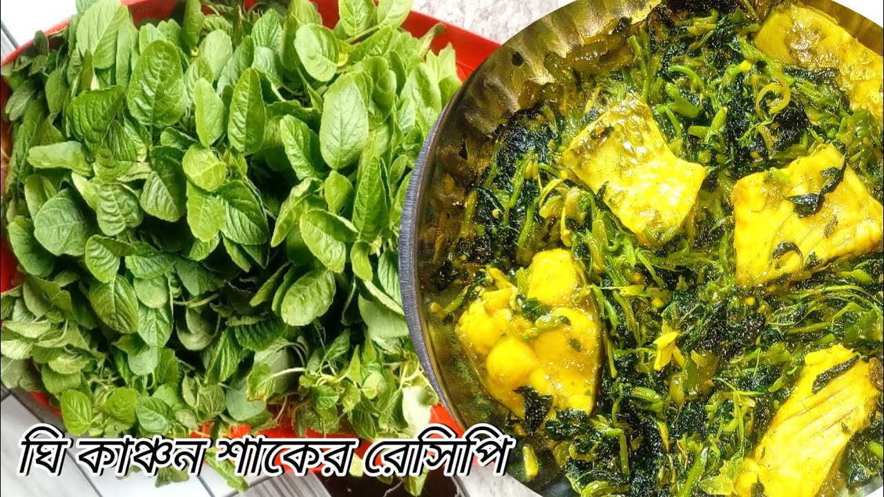 অসাধারণ এক ঘি কাঞ্চন শাকের রেসিপি। ঘি-কাঞ্চন শাক রেসিপি | Ghee KanchanShak Recipe.