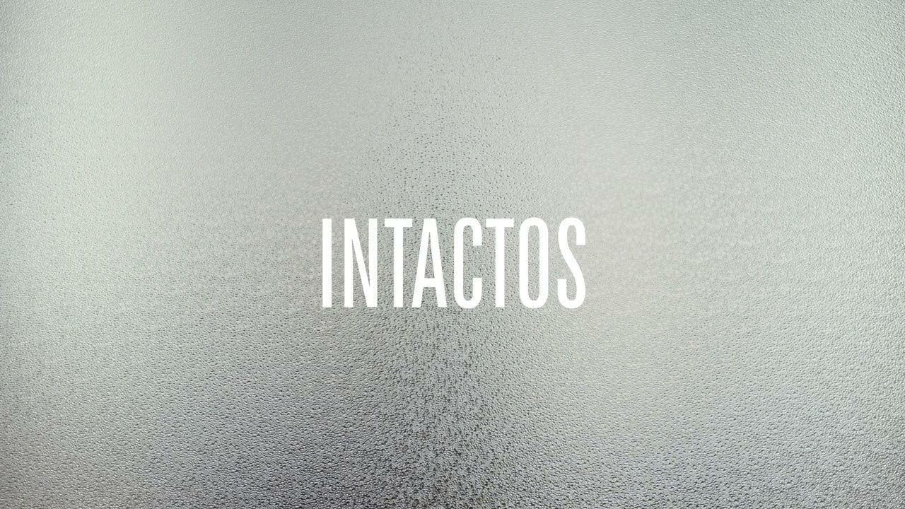 Intactos - Banda de Belgas (Video Lyrics)