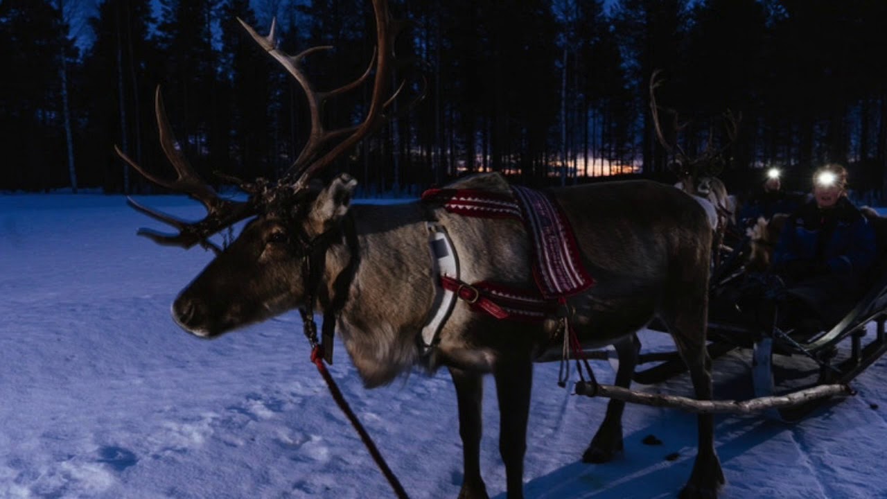Nissebanden i Grønland - Nu er det Jul (Nightcore)🎄🦌🇩🇰