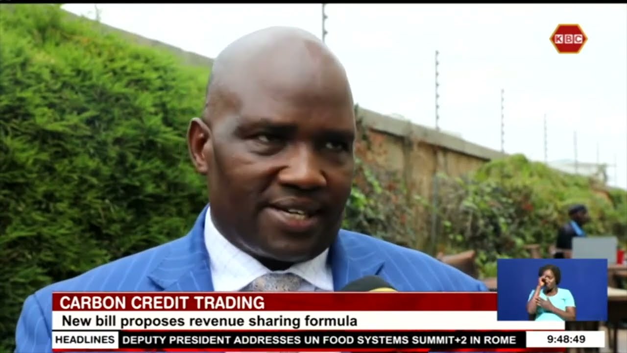 Carbon Credit Trading: Unregulated sale of carbon credits costs Kenya billions