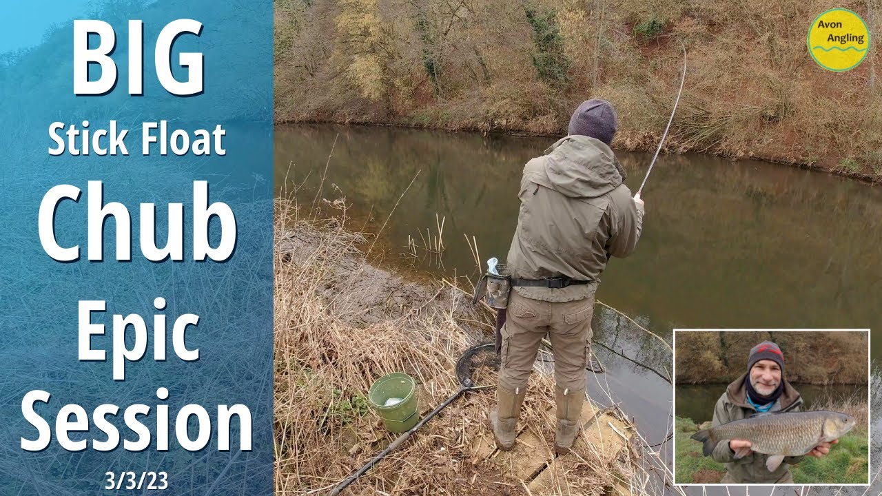 Huge Avon Chub On The Float - Stick Float Trotting - River Fishing - 3/3/23 (Video 390)