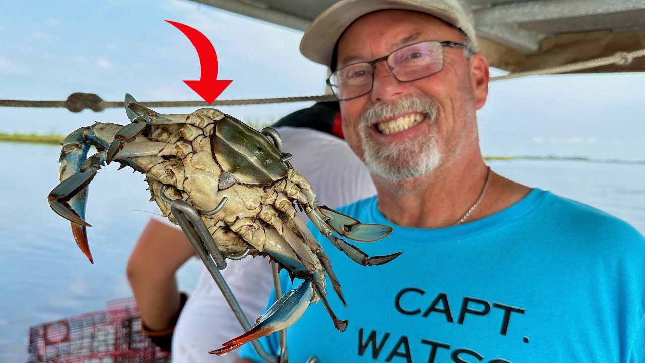 I Tagged Along on a Commercial Crab Boat!