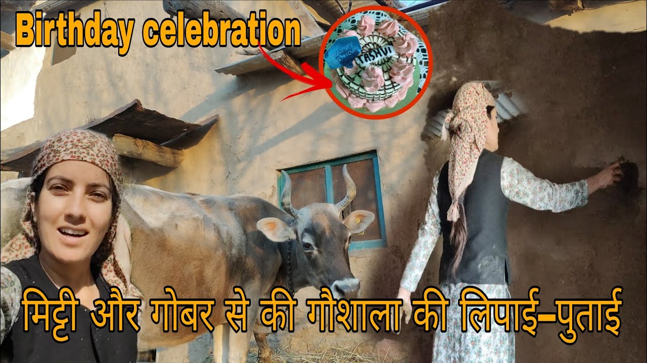 मिट्टी और गोबर से की गौशाला की लिपाई–पुताई || Birthday celebration || Pahadi life style || PVV 2026