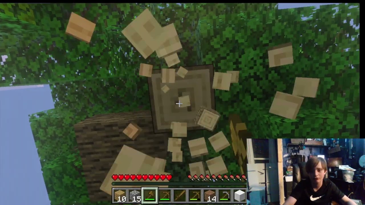 Minecraft with my friend 