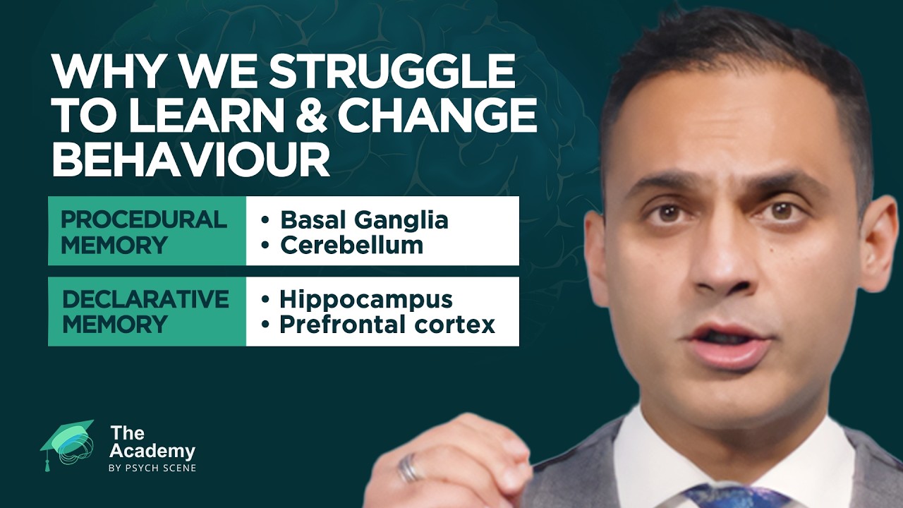 How Procedural Memory, Implicit Learning & the Prefrontal Cortex Shape Behavioural Change