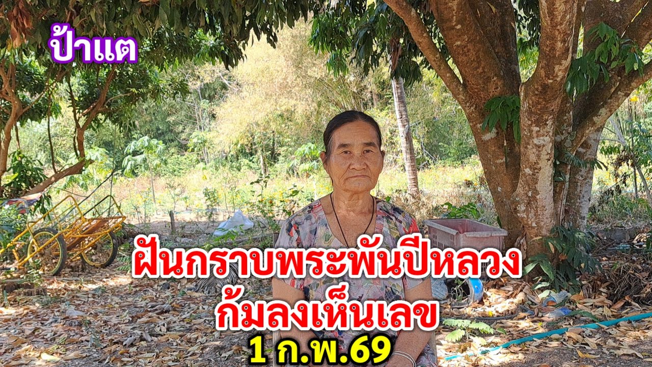 ฝันกราบพระพันปีหลวง ก้มลงเห็นเลข 1 ก.พ.69 ป้าแต