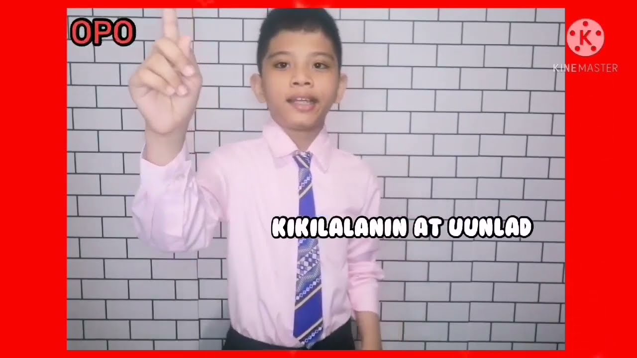 Plataporma ng isang kandidato bilang Mayor