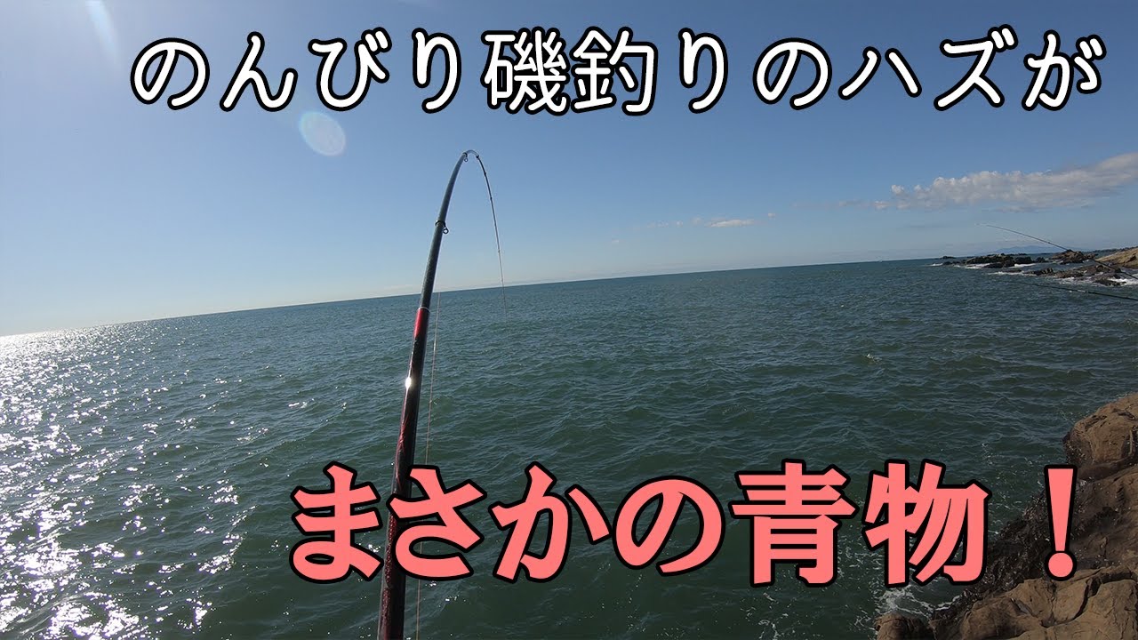 千葉県南房総の「宝来島」で磯釣りしてみたら予想だにしない嬉しい獲物が！ #フカセ釣り #メジナ #青物
