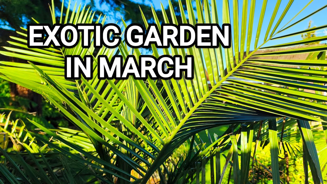Can You Grow an Exotic Garden in a Cool Climate? March Tour