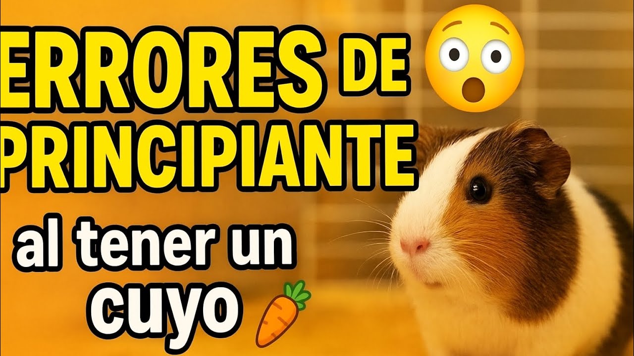 “Si haces esto con tu cuyo… ESTÁS EN PROBLEMAS 🐹⚠️”