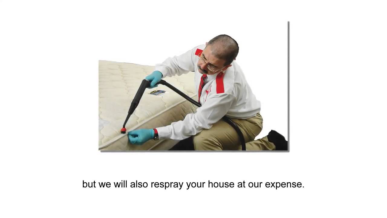 Bed Bug Exterminator Denver