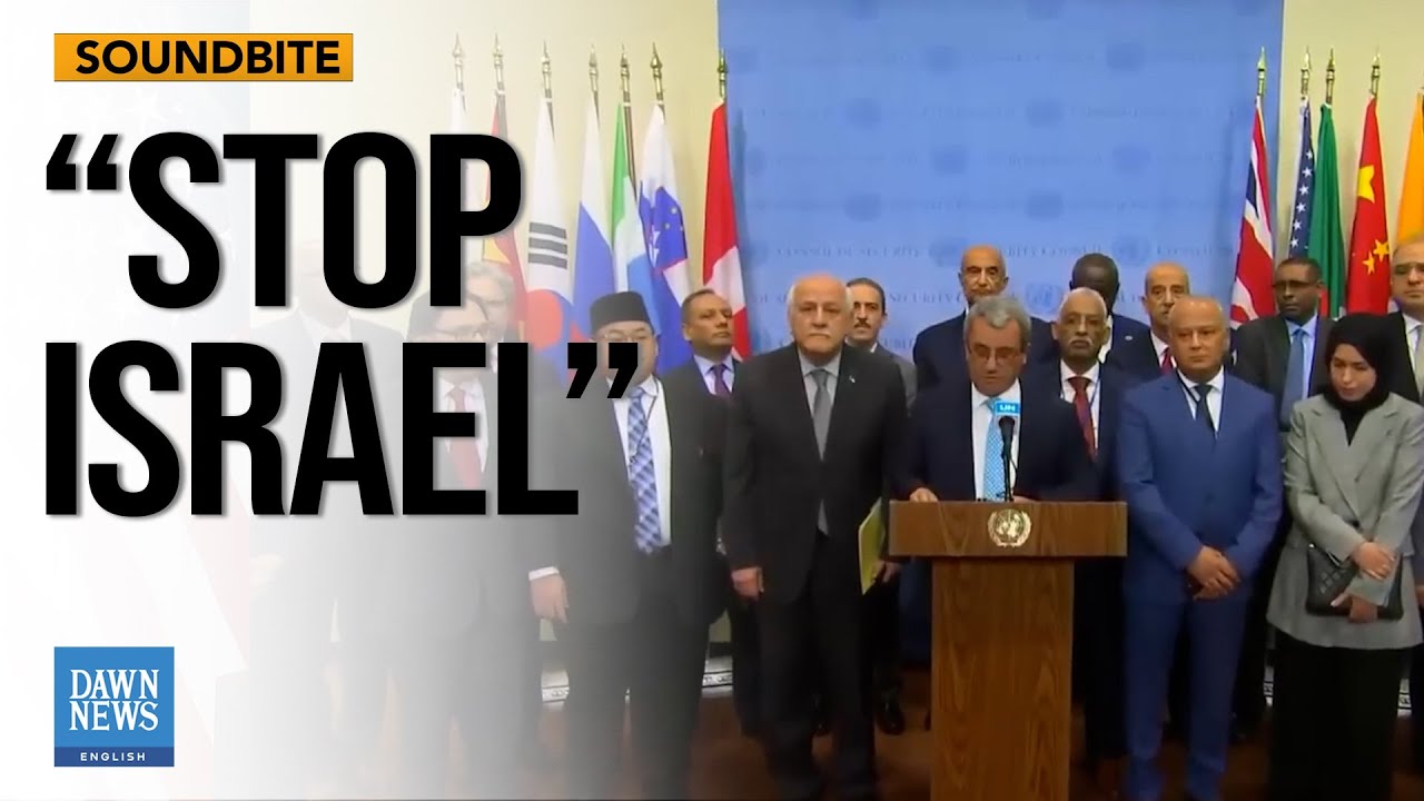 Arms Embargo: World Leaders Call For A Halt To Weapons Transfers To Israel | Dawn News English