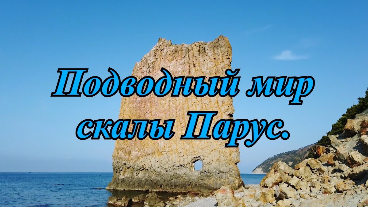 Подводный мир скалы Парус.