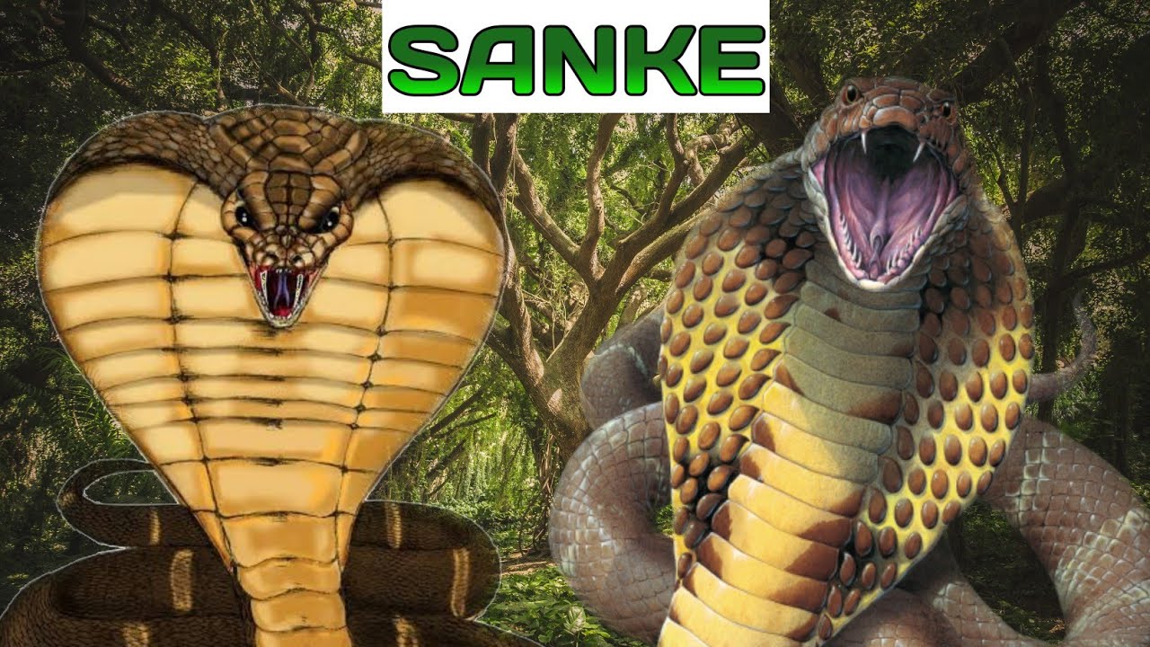 साप के बारे मे Snake Facts in hindi  Finally Revealed