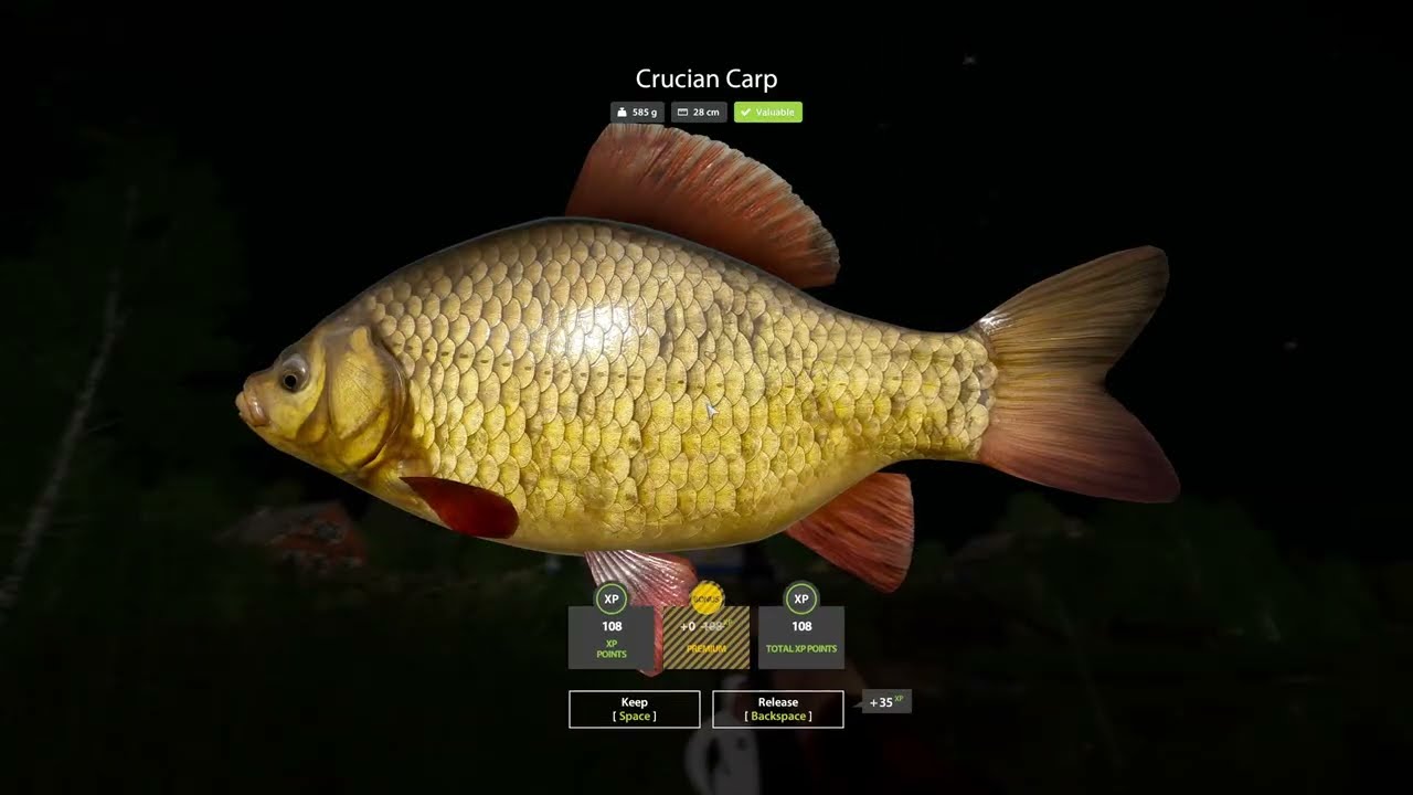 Mosquito Lake 🎣 No Talking (RF4)