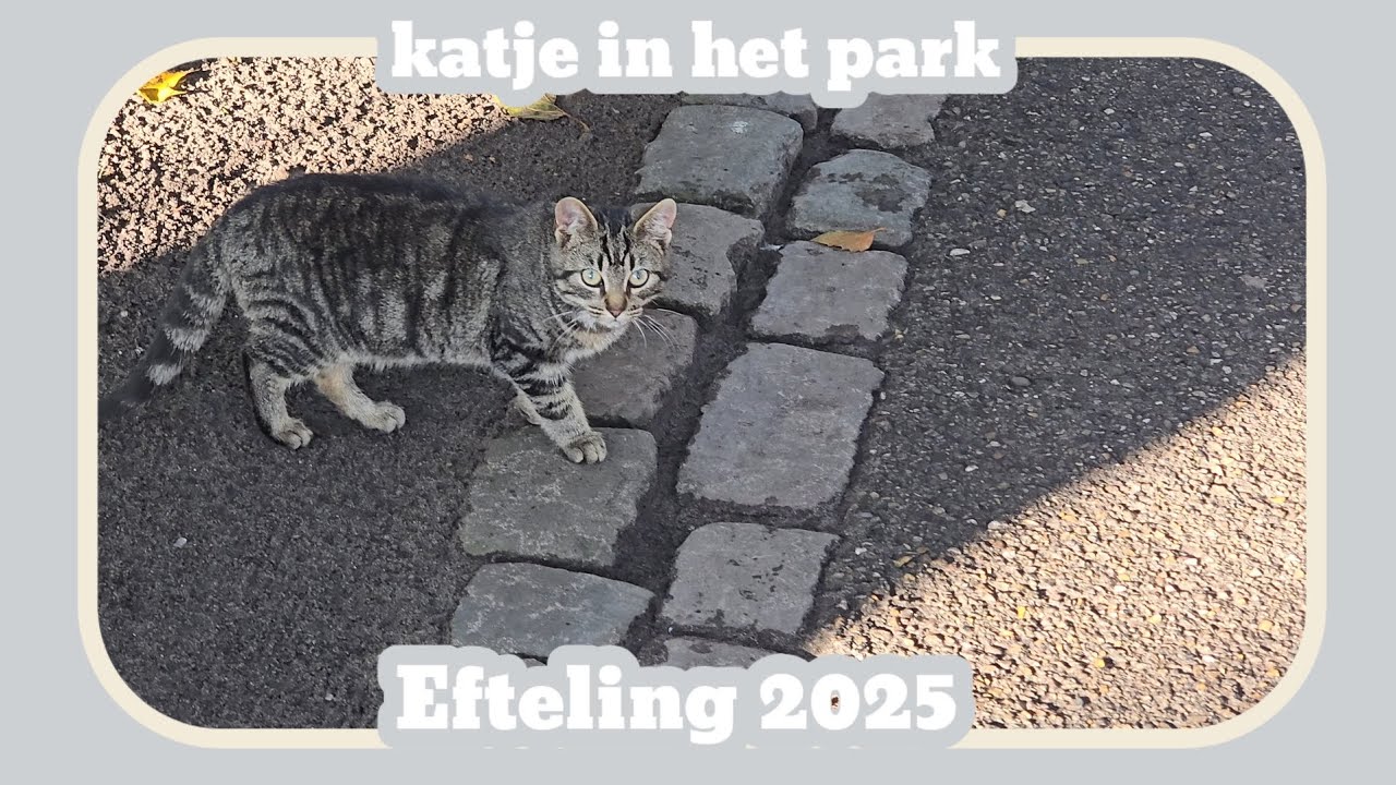 Katje in de Efteling 2025