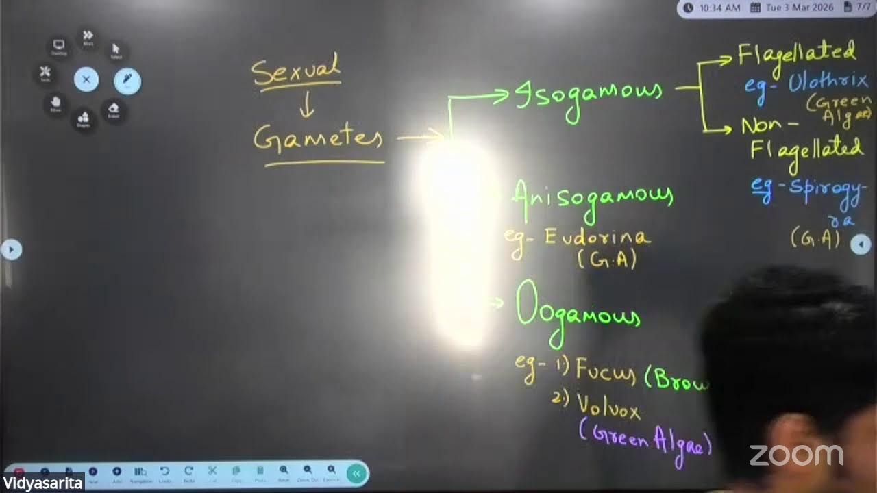 Plant Kingdom| L-02 | 03-03-2026  | Aman sir | 11 B4 NEET FTB | Biology | VSA |