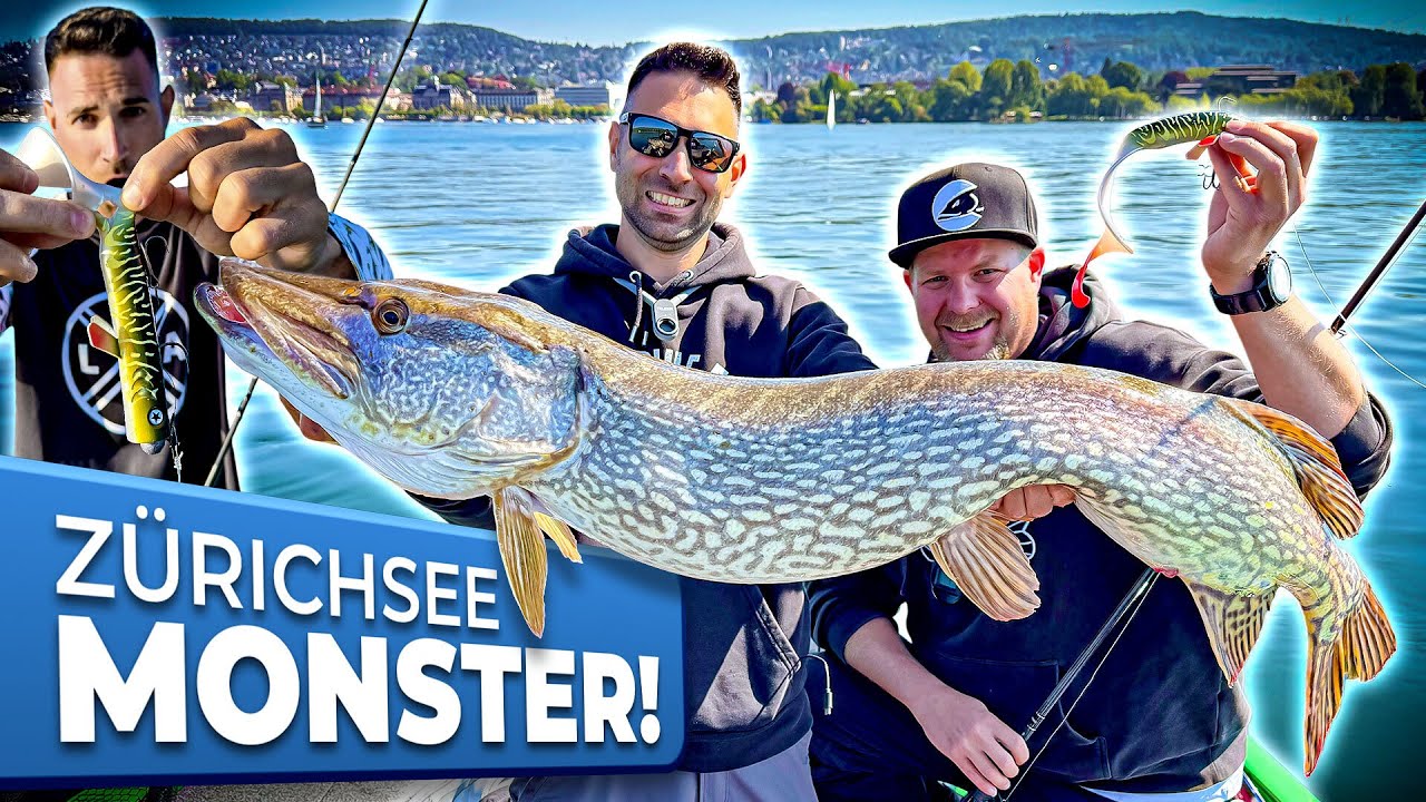 ZÜRICHSEE MONSTER! Dieser Hecht sprengt alle Erwartungen!