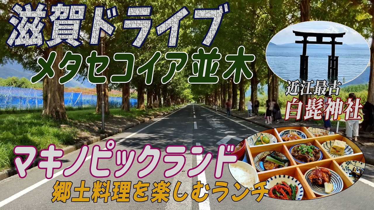 【滋賀】マキノピックランド・メタセコイア並木・白鬚神社